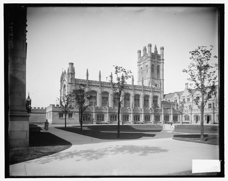 Escola de Chicago e seu legado para as teorias